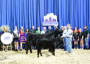 Grand Champion Bred-and-owned Cow-calf Pair