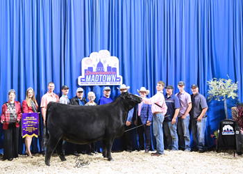 Grand Champion Bred-and-owned Female