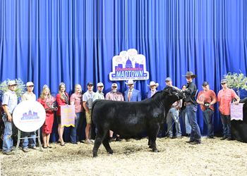 Reserve Grand Champion Bred-and-owned Bull