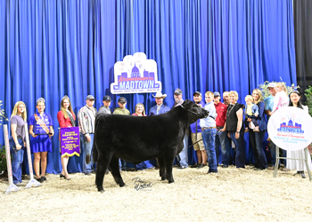 Grand Champion Bred-and-owned Steer