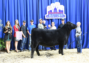 Bred-and-owned Reserve Late Junior Champion Heifer