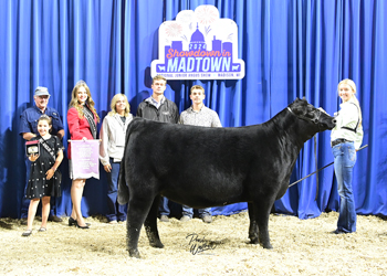 Owned Reserve Junior Champion Heifer--division 4