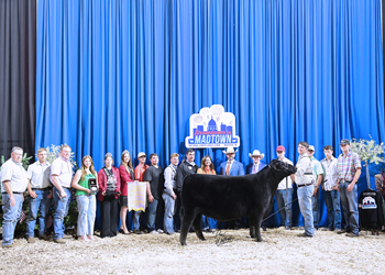 Reserve Grand Champion Bred-and-owned Female