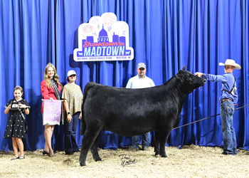 Owned Reserve Junior Champion Heifer--division 5