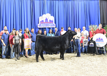 Reserve Grand Champion Owned Female