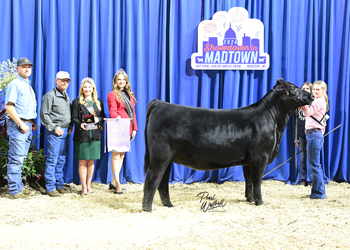 Owned Reserve Junior Champion Heifer--division 1