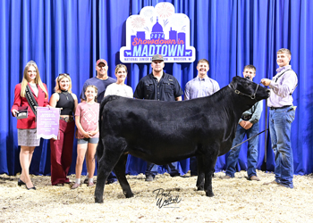 PGS Reserve Heifer Division 3