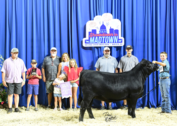 PGS Reserve Heifer Division 2