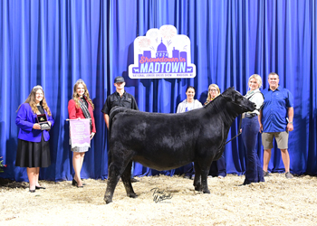 Owned Reserve Junior Champion Heifer--division 2