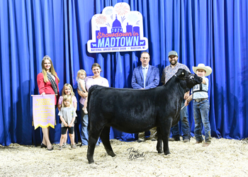 Bred-and-Owned Reserve Grand Champion PGS Female