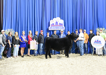 Reserve Grand Champion Bred-and-owned Steer