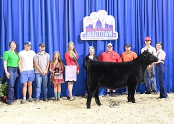 Reserve Heifer Calf Champion - Division 3