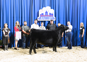 Owned Reserve Junior Champion Heifer--division 3