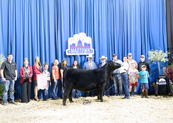 Third Overall Bred-and-owned Champion Female