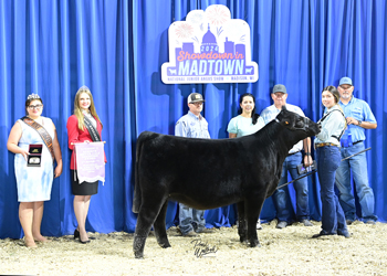 Reserve Heifer Calf Champion - Division 2