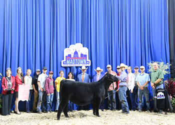 Fifth Overall Bred-and-owned Champion Female