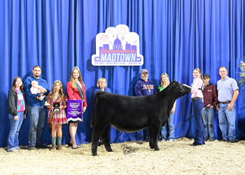 Heifer Calf Champion - Division 3