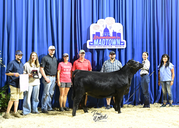 PGS Reserve Heifer Division 1