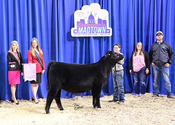 Reserve Heifer Calf Champion - Division 1