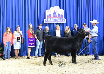 Heifer Calf Champion - Division 2