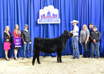 Heifer Calf Champion - Division 1