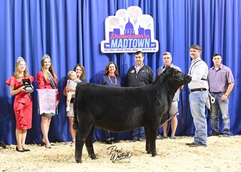 Bred-and-owned Reserve Early Senior Heifer Calf Champion