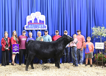 Bred-and-owned Senior Bull Calf Champion