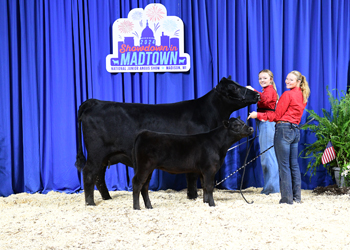 Owned Cow-calf Class 4