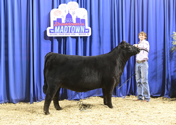 Owned Heifer Class 45