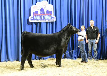 Owned Heifer Class 35