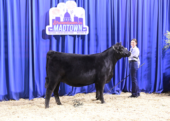 Owned Heifer Class 32