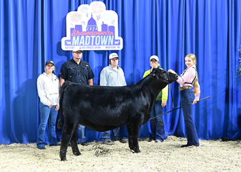 Owned Heifer Class 10