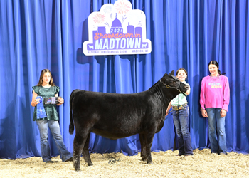 Owned Heifer Class 4