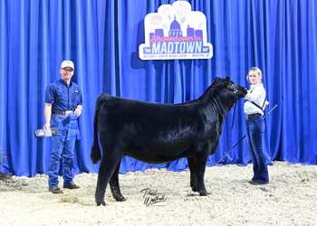 Owned Heifer Class 7