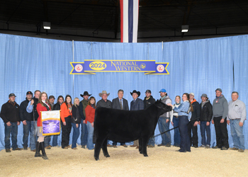 Grand Champion Female