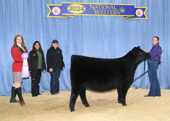 Reserve Senior Heifer Calf Champion