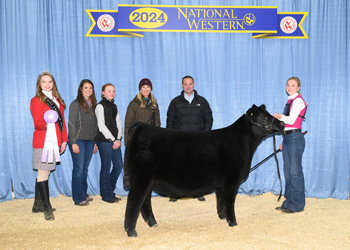 Reserve Junior Champion Heifer Calf - Div 2