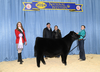 Reserve Summer Bull Calf Champion