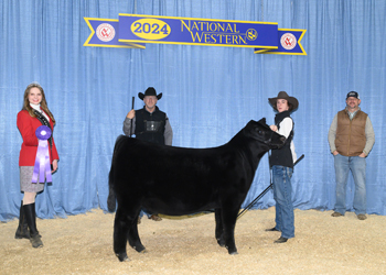 Junior Champion Heifer Calf - Div 2