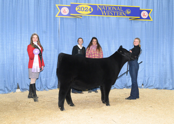 Reserve Junior Champion Heifer Calf - Div 3