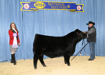 Reserve Junior Bull Calf Champion