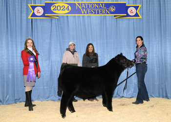 Summer Bull Calf Champion