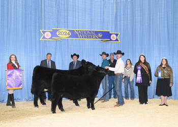 Grand Champion Cow-calf Pair