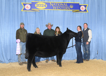 Owned Reserve Intermediate Champion Heifer