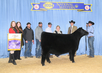 Grand Champion Owned Female