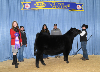 Owned Senior Heifer Calf Champion