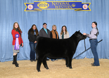 Owned Junior Heifer Calf Champion - Div 1