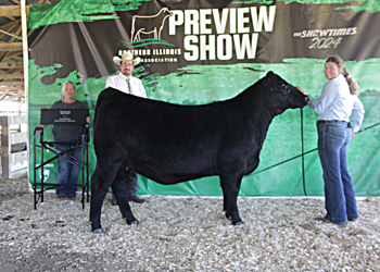 Grand Champion Owned Female