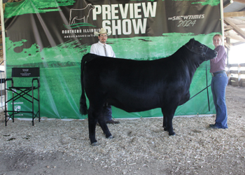 Grand Champion Bred-and-owned Female