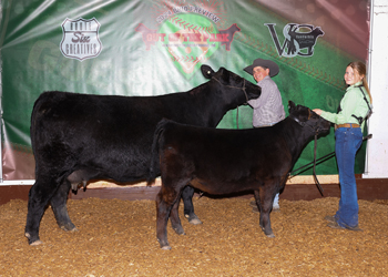 Reserve Grand Champion Cow-calf Pair